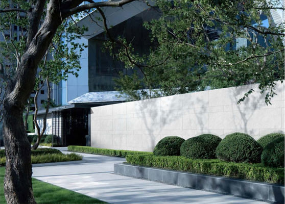 بلاط الحائط البيضاء المختلطة من الطين 600x1200mm