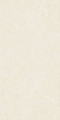 600x1200mm بلاط بورسلان داخلي AAA الصف الطين ISO13006