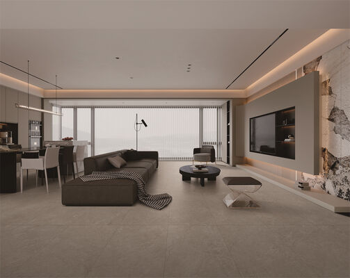 Stunning Wear-resistant Stain-resistant Elegant And Durable Gray Special Glazed Matt Indoor Floor Porcelain Tiles 600x1200mm For Kitchen