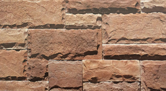 500SQM في الهواء الطلق حجر مثقف ، قشرة جدار حجر الفطر 3D غير النظامية